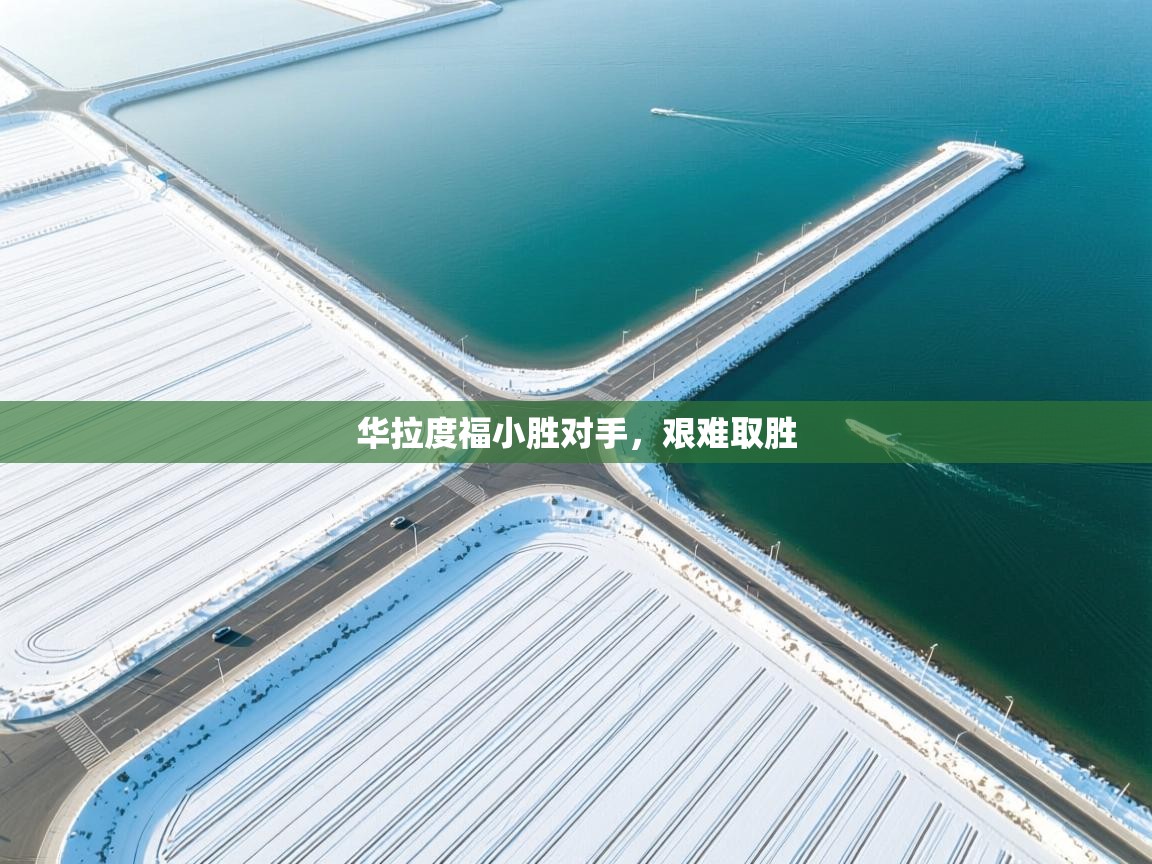 华拉度福小胜对手，艰难取胜  第2张